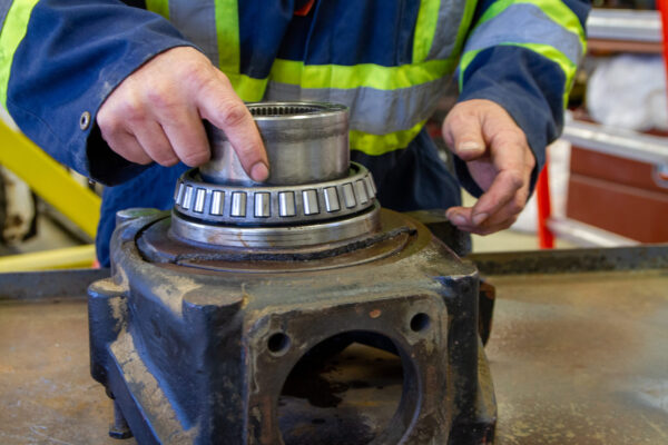 Kova_Saskatoon-26-scaled